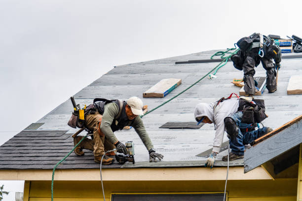 Professional Gutter Installation technician working in Wheatland, IA
